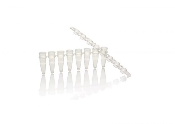 Capped 0.2mL 8-Strip PCR Tubes | RNase/DNase-Free