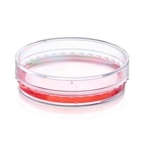 Cell culture dishes