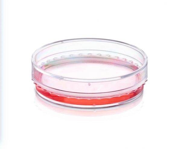 Cell culture dishes